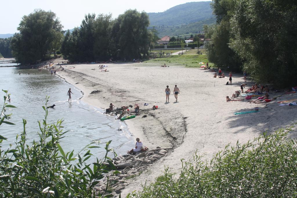 Donauwirt - Hotel Garni Weissenkirchen in der Wachau Exterior foto