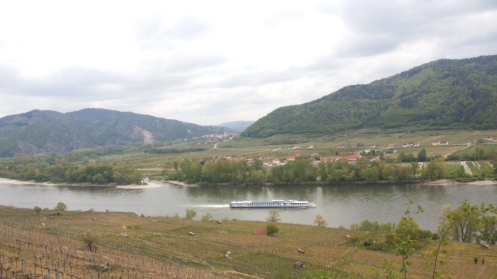 Donauwirt - Hotel Garni Weissenkirchen in der Wachau Exterior foto